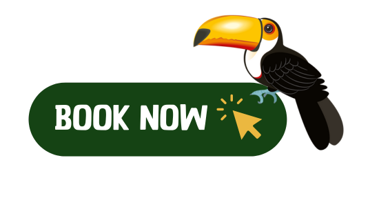 Untitled (50 x 80 px) (150 x 120 px) (15)